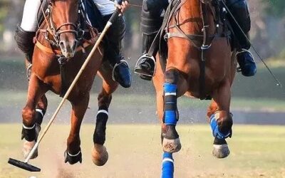 Polo Club Polo club, Incrociata, Agriturismo Incrociata, Tuscan Agriturismo, Farmhouse suites, Holiday apartments Tuscany, Tuscany accommodation, Tuscan holiday home, Casa vacanza