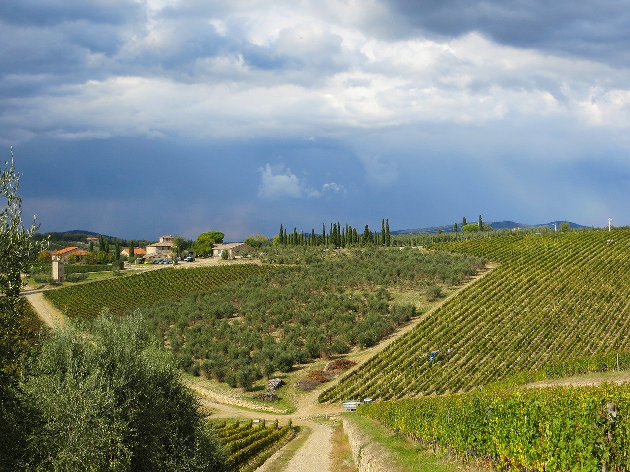 Chianti, Incrociata, Agriturismo Incrociata, Tuscan Agriturismo, Farmhouse suites, Holiday apartments Tuscany, Tuscany accommodation, Tuscan holiday home, Casa vacanza